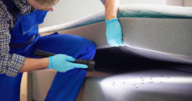 Pest Prevention Services in Morganfield, KY