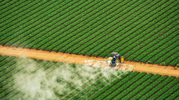 Best Cockroach Control Services  in Morganfield, KY