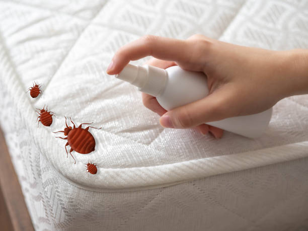 Best Best Pest Control Companies  in Morganfield, KY