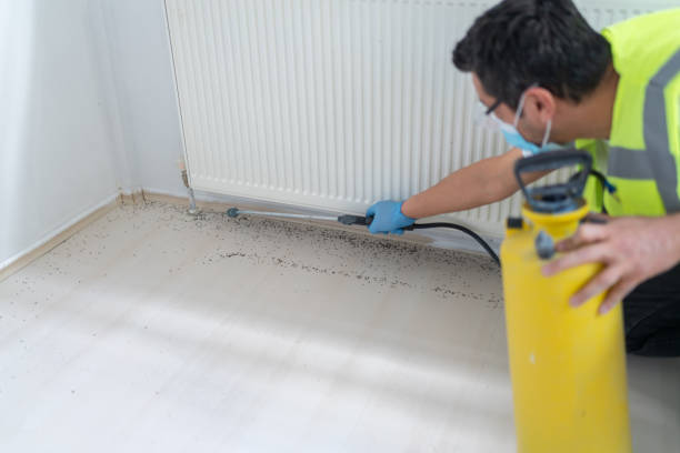 Best Affordable Pest Control Services  in Morganfield, KY
