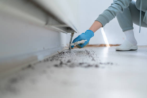 Best Local Pest Control Services  in Morganfield, KY