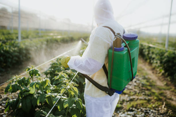 Best Cockroach Control Services  in Morganfield, KY